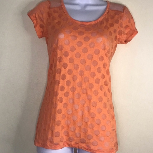 Derek Heart peach sheer polka dot top - Picture 7 of 13
